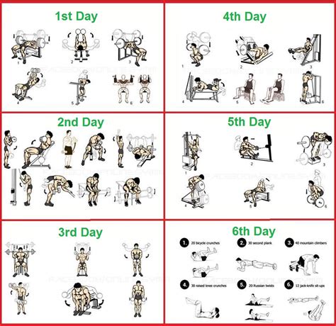 Day 2: Back. . Bodybuilding program for beginners pdf